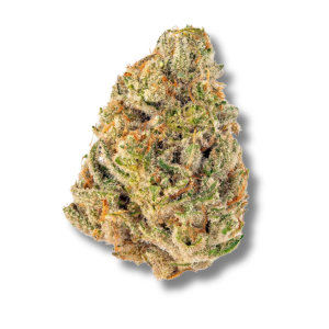 Bermuda Shorts | 3.5g Strain | DCC