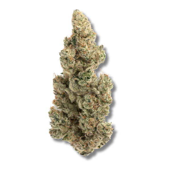 Bubblegum Sherb | 3.5g Strain | PERPETUAL