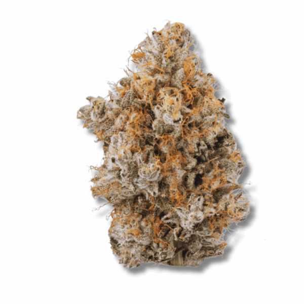 Confiscated Chem - 28g Strain | Bostica