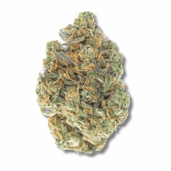 GMO x Rootbeer - 28g Strain | Bostica