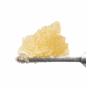 Lemon Margy - Live Sugar - 1g Strain | Cultivators Classic
