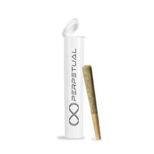 Northern Lights | Distillate Infused Pre Roll | 1g Strain | PERPETUAL