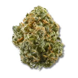 Porto Leche | 3.5g Strain | PERPETUAL