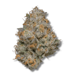 Sherb BX | 3.5g Strain | PERPETUAL