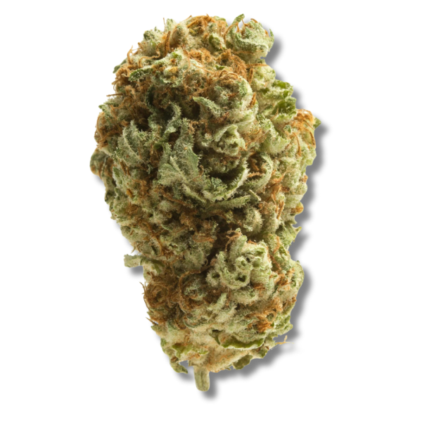 Stink Palm #2 | 3.5g Strain | PERPETUAL