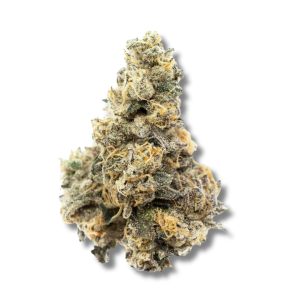 Banana Pancakes - 3.5g Strain | Harbor House Collective