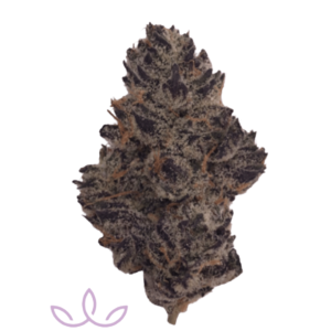 White Truffle - Organic | 3.5 Strain | Tower Three