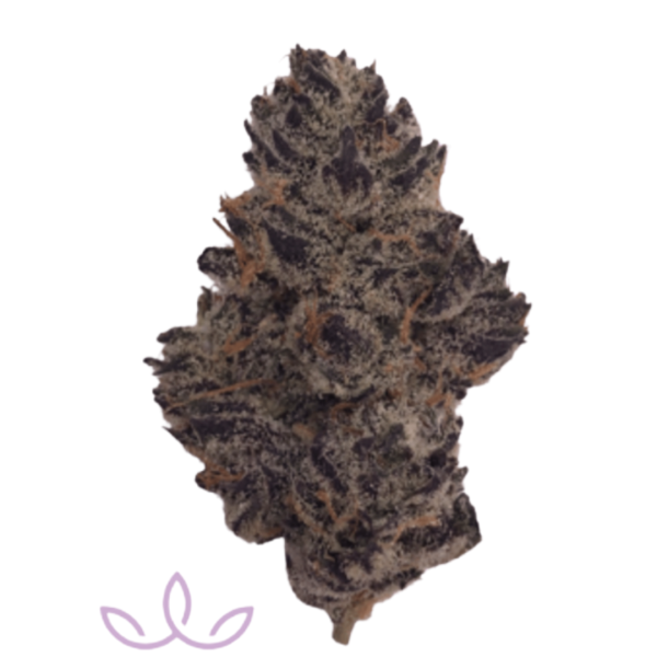 White Truffle - Organic | 3.5 Strain | Tower Three