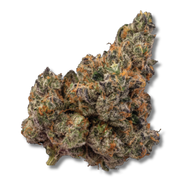 Apple Fritter - 3.5g Strain | NEA Premium