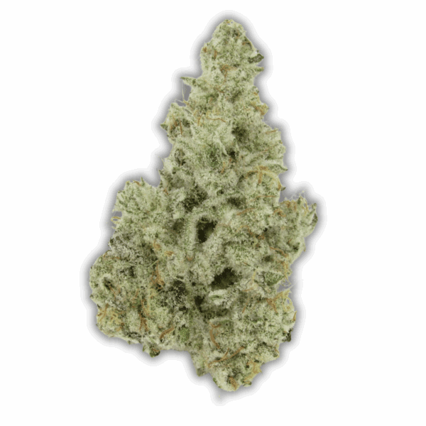 Cap Junky | 3.5 Strain | Bostica