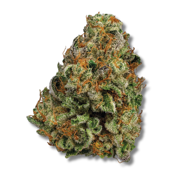 Gary Payton - 3.5g Strain | NEA Premium
