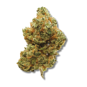Mass Gen Sour D | 3.5g Strain | Aura Cannabis Co