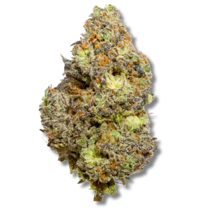 Sunkist Tangie | 3.5g Strain | Aura Cannabis Co