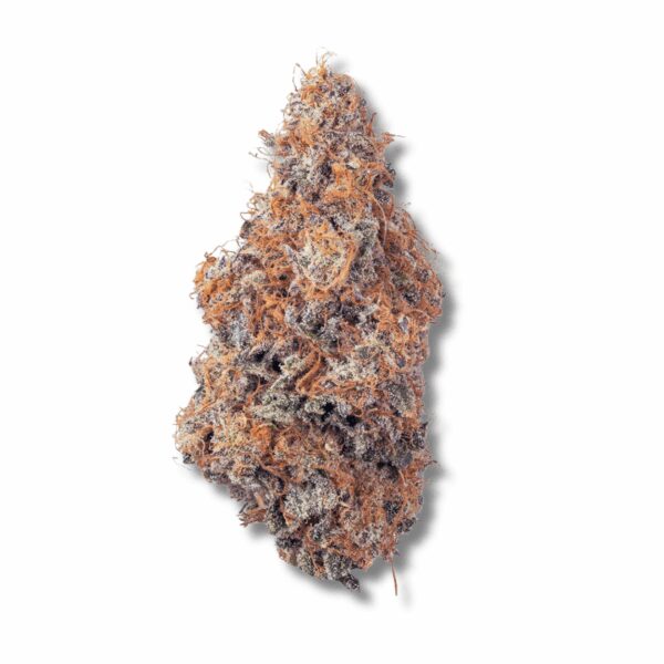 Purple Starfruit | 3.5g Strain | Bostica