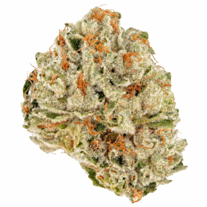 Zsweet Insanity | 3.5 Strain | NEA Fire