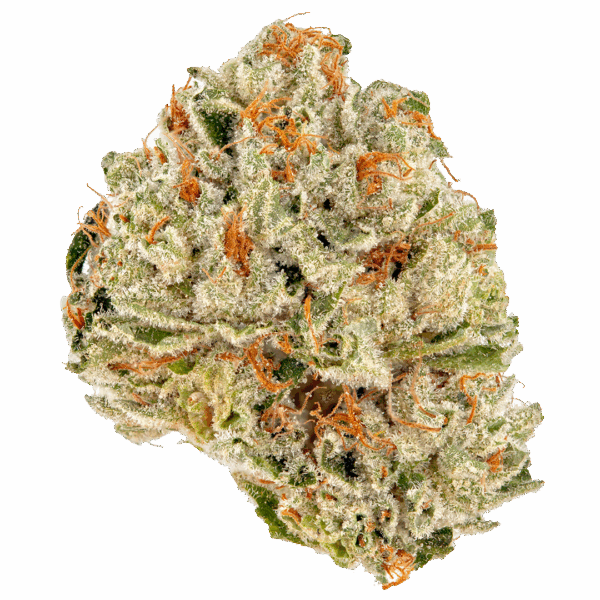 Zsweet Insanity | 3.5 Strain | NEA Fire