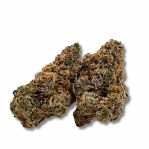 black papaya | 3.5g strain | fresh connection | rolling releaf Black Papaya | 3.5g Strain | Fresh Connection