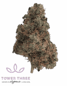 East Coast Irene - Organic | 3.5g Strain | Tower Three
