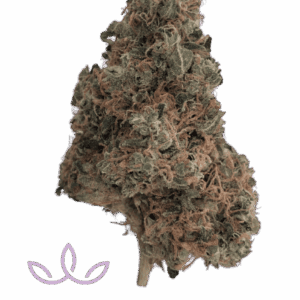 east coast irene - organic | 3.5g strain | tower three | rolling releaf East Coast Irene - Organic | 3.5g Strain | Tower Three