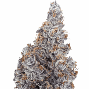 grenadine - cold cured | 3.5g strain | trifecta farms | rolling releaf Grenadine - Cold Cured | 3.5g Strain | Trifecta Farms