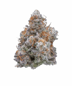 MAC 31 | 3.5g Strain | Fresh Connection