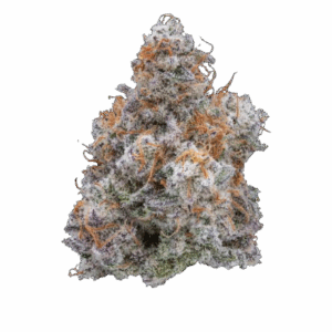 MAC 31 | 3.5g Strain | Fresh Connection