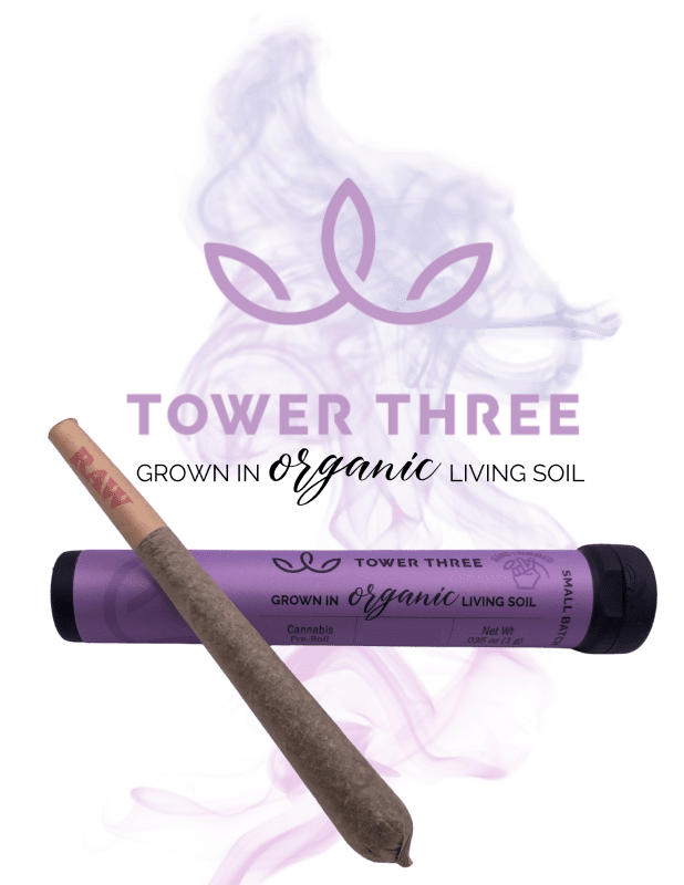 raspberry mango tk - organic pre roll | 1g strain | tower three | rolling releaf Raspberry Mango TK - Organic Pre Roll | 1g Strain | Tower Three