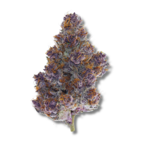 Cherry Payton | 3.5g Strain | Bostica