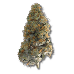 Godfather OG - 3.5g Strain | Bostica
