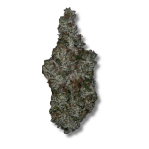 Nectarine Dream | 3.5g Strain | HighMark Provisions