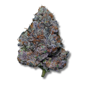 Runtz | 3.5g Strain | Harbor House Collective