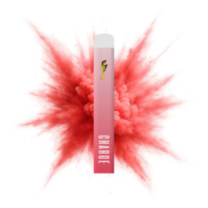 Watermelon Splash - Disposable Vape - 1g Strain | Charge Bar