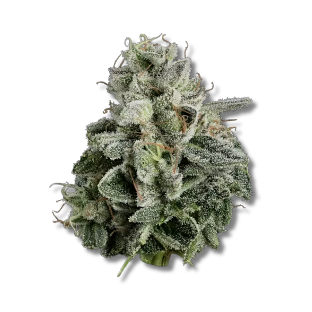 Skunkset - Black Amber | 3.5g Strain | Your Highness