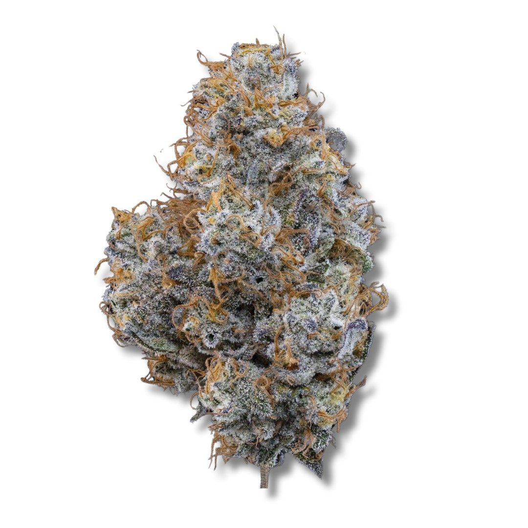 Black Maple | 3.5g