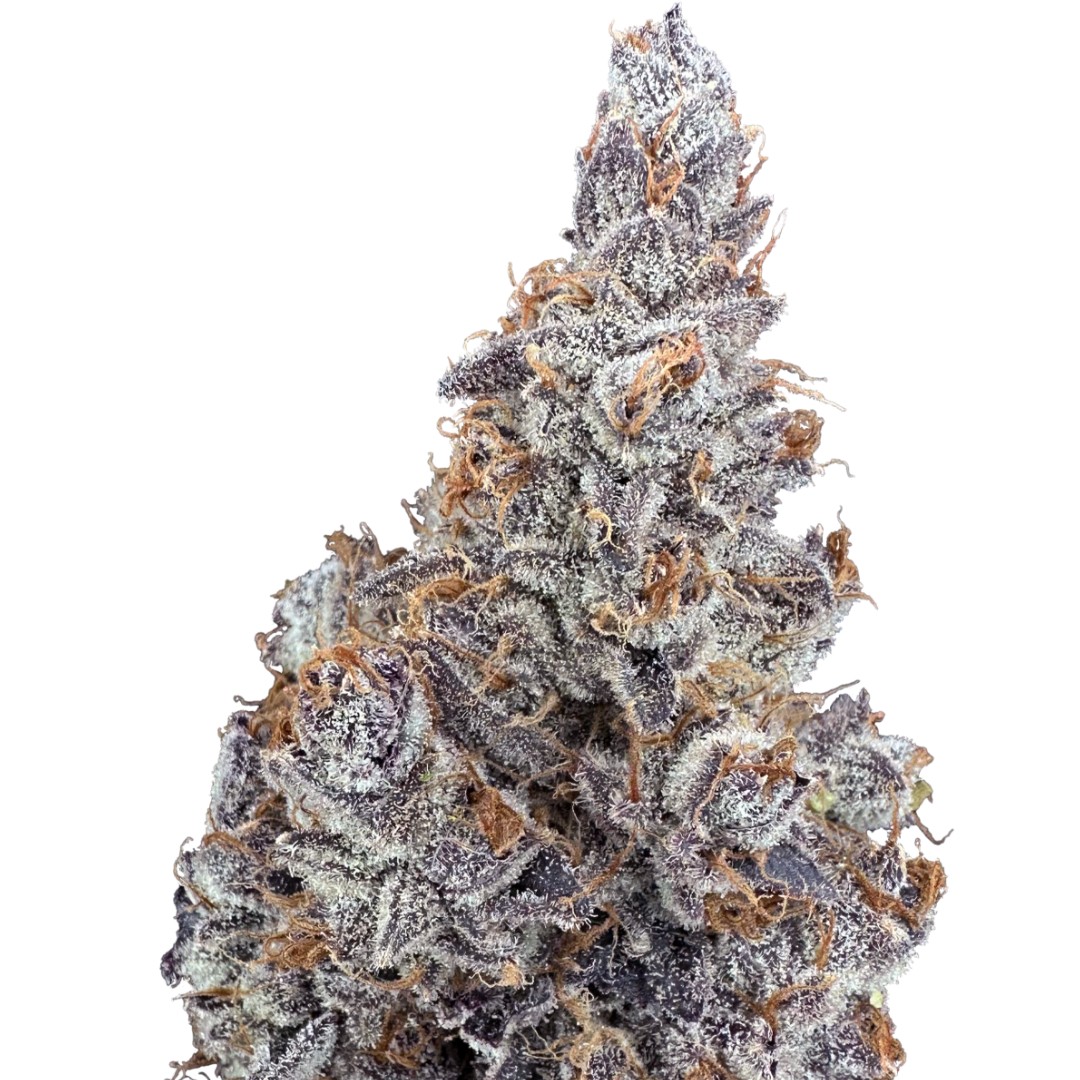 Grenadine | Cold Cured | 3.5g