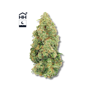 Papaya Cake | 3.5g Strain | Harbor House Collective