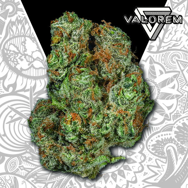 Pineapple Express | 3.5g