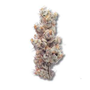 Strawpical Guava | 3.5g