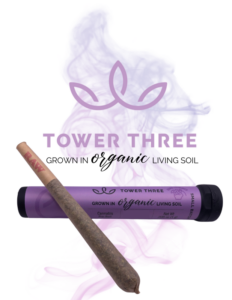 Raspberry Mango TK - Organic Pre Roll | 1g