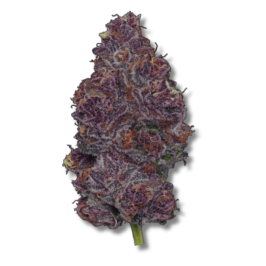 Tropicana Cherry | 3.5g