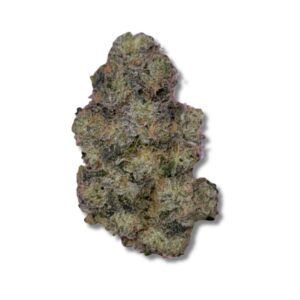 Maple Head | Organic | 3.5g