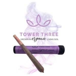 Cherry Maple | Pre Roll | 1g