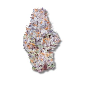 Gelato 33 - 28g Popcorn
